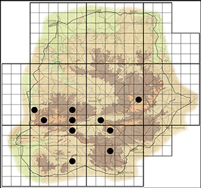 Cigaritis mozambica Waterberg distribution